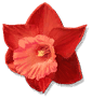 blood daffodil ingredient item solasta wiki guide